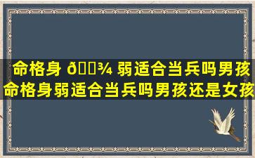 命格身 🌾 弱适合当兵吗男孩「命格身弱适合当兵吗男孩还是女孩」